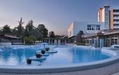Туры в отель Terme Continental