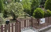 Туры в отель Terme Continental