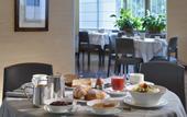 Туры в отель Terme Continental