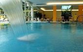 Туры в отель Hotel Terme Millepini