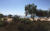 Туры в отель Thalassines Beach Villas