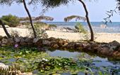 Туры в отель Thalassines Beach Villas