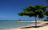 Туры в отель The Bali Khama Villas