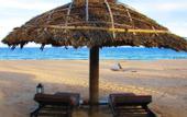 Туры в отель The Beach Resort