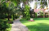 Туры в отель The Beach Resort
