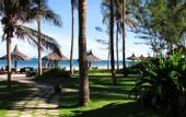 Туры в отель The Beach Resort