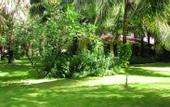 Туры в отель The Beach Resort