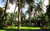 Туры в отель The Beach Resort