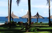 Туры в отель The Beach Resort