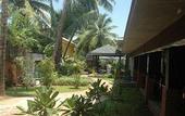 Туры в отель Jupiter Spa & Resort