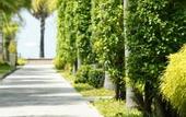 Туры в отель The Beach Boutique Resort
