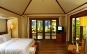 Туры в отель The Beach Boutique Resort