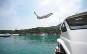 Туры в отель The Bell Pool Villa Resort Phuket