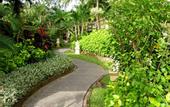 Туры в отель The Benoa Beach Front Villas