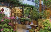 Туры в отель Avli Lounge Apartments