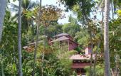Туры в отель Koh Ngai Cliff Beach Resort