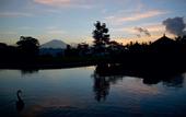 Туры в отель Tanah Gajah, a Resort by Hadiprana