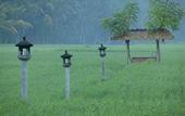 Туры в отель Tanah Gajah, a Resort by Hadiprana