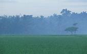 Туры в отель Tanah Gajah, a Resort by Hadiprana