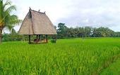 Туры в отель Tanah Gajah, a Resort by Hadiprana