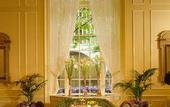 Туры в отель The Fairmont Olympic