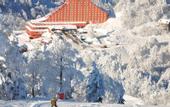Туры в отель The Green Park Kartepe Resort