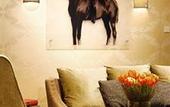 Туры в отель The Imperial Riding School Renaissance Vienna Hotel