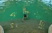 Туры в отель Atlantica Kalliston