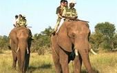 Туры в отель The Kingdom at Victoria Falls