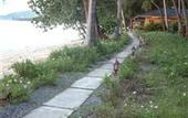 Туры в отель Anahata Resort