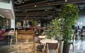 Туры в отель The Marmara Pera