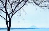 Туры в отель The Oberoi Lombok