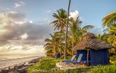 Туры в отель The Palms Zanzibar