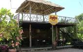 Туры в отель The Park Hotel Bangkok