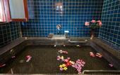 Туры в отель The Privacy Beach Resort & Spa