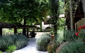 Туры в отель Ayii Anargyri Natural Healing Spa Resort