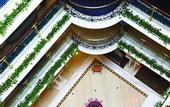 Туры в отель The Riviera Taipei