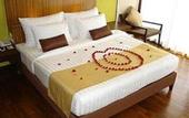 Туры в отель The Rock Beach Resort and Spa