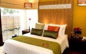 Туры в отель The Rock Beach Resort and Spa