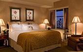 Туры в отель The Roosevelt
