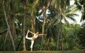 Туры в отель Sofitel Singapore Sentosa Resort & Spa
