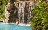 Туры в отель Sofitel Singapore Sentosa Resort & Spa
