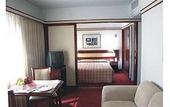 Туры в отель The Time Othon Flat