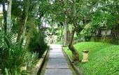 Туры в отель The Ubud Village Resort & Spa