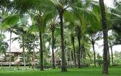 Туры в отель The Ubud Village Resort & Spa