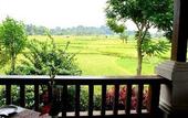 Туры в отель The Ubud Village Resort & Spa