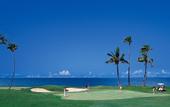 Туры в отель The Westin Denarau Island Resort & Spa