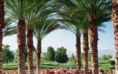 Туры в отель The Westin Mission Hills Resort & Spa