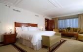 Туры в отель The Westin Zagreb