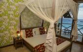 Туры в отель The Z Hotel